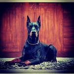 PatrickThiele - @patrick_thiele618 - Instagram