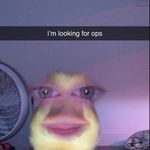 Patrick Thielen - @goosey6856 - Instagram