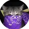 PatrickThompson - @altheoylj2z - TikTok