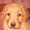 PatrickThompson - @patrick._.thompson - TikTok