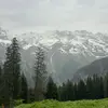Thompsonpatrick125 - @thompsonpatrick125 - TikTok