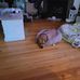 Patrick Thurston - Facebook