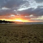 Patrick Tillotson - @patricktillotson - Instagram