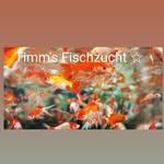 Patrick Timm - @patrick_timm_business - Instagram