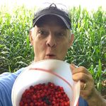 Patrick Tipton - @patrick.tipton.7 - Instagram