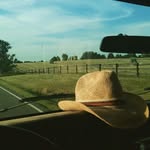 Patrick Tocci - @p_tocci - Instagram