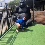 Patrick Robert - @patrick.tomlin.16 - Instagram