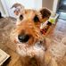 Patrick Tomlin - Facebook