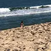 patricktomlin - @patricktomlin3333 - TikTok