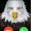Patrick - @patricktoner3 - TikTok