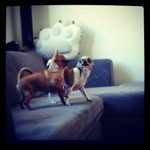 Patrick Tong - @tpptong - Instagram