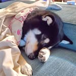 Patrick Tong - @patrickwhtong - Instagram
