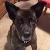 Patrick Toole - @patrick.toole0 - TikTok