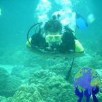 Patrick Martin Toolan - @patrick.m.toolan - Instagram