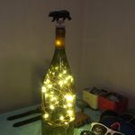 Hannah Patrick & Austin Townes - @bottlepluslamps - Instagram
