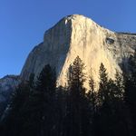Patrick Towns - @townspatrick - Instagram