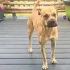 Patrick Tracey - @patrick.tracey1 - TikTok