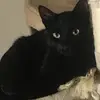 Patrick Tracey - @patrick.tracey - TikTok