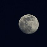 Cade Patrick Treadway - @cadepatricktreadway - Instagram