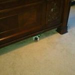 Patrick Treadway - @treadway_patrick_ - Instagram