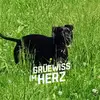 Patrick Troxler - @patrick.troxler8 - TikTok