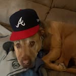 Patrick Tuggle - @patricktuggle - Instagram