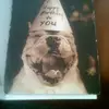 patricktuohy89 - @patricktuohy89 - TikTok