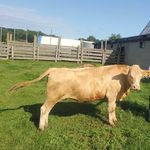 Patrick Turgeon - @turgeon6270 - Instagram