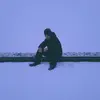 Patrick Turner - @p.turn.photography - TikTok