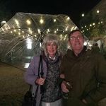 Susan Harris - @patricktweedyharris1944 - Instagram