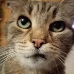 Patrick Urban - @patrickurban5 - Instagram