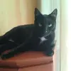 Patrick Urban - @patrick.urban - TikTok