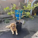 Patrick Utter - @utter.patrick - Instagram