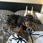 Patrick Valdez - @patrick.v09 - Instagram