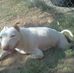 Pat Van Meter - Facebook