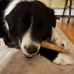 Patrick Vanmeter - @vanmeter6321 - Instagram