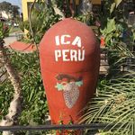 Patrick Vedder - @patrick.vedder - Instagram