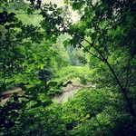 Patrick Veit - @patrick.veit.75 - Instagram