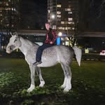 Patrick Veitch - @veitchpatrick - Instagram