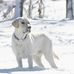 Patrick Veith - Facebook