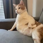 @venn_patrick - Instagram