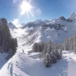 Patrick Verheyen - @patrick.verheyen.370 - Instagram