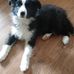 Patrick Vermette - Facebook