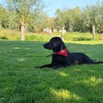 Patrick Versluis - @patrickversluis2002 - Instagram