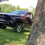 Patrick Vickers - @p.ds_lawncare - Instagram