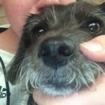 Patrick Vinckier - @patrick.vinckier.9 - Instagram