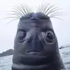 Patrick Vine - @patrickvine - TikTok