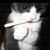 Patrick Vines - @stumps.tradition - TikTok