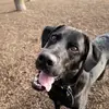 patrickvipond911 - @patrickvipond911 - TikTok
