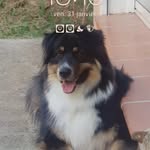 Patrick Visconti - @patrickletatoo - Instagram